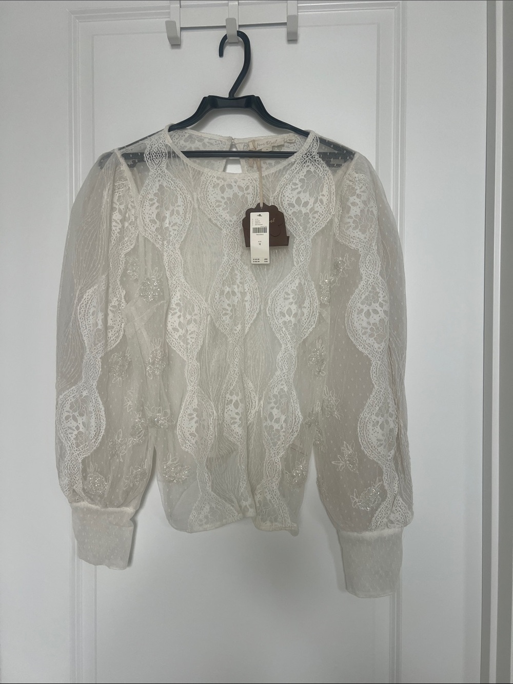 Anthropologie Sheer Embroidered Lace Blouse - Ivory